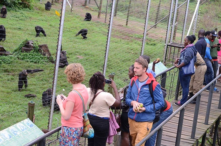 Uganda’s tourism revenue hits $1 billion