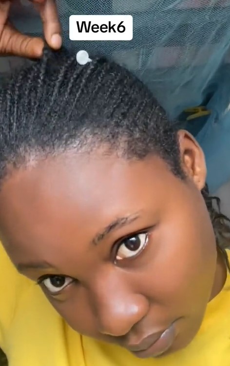 "20 weeks braid journey"- Netizens react as lady flaunts the hairstyle she kept for 5 months (VIDEO)