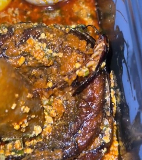 "Na extra meat" – Lady cries out as she discovers cockroach in the food she ordered (VIDEO)