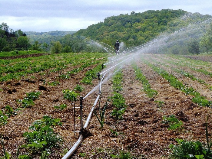 Nasarawa Govt Begins Cultivation of 10,000 Hectares to Boost Food Production