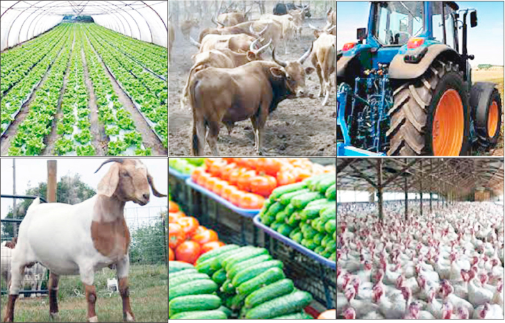 Varsity Don Urges FG to Prioritise Agric Sector, Tackle Food Crisis – AgroNigeria