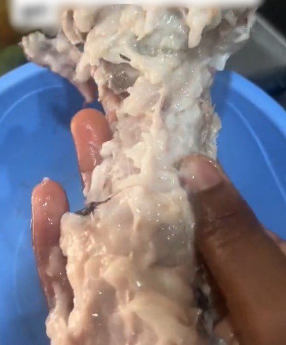 Lady shares what became of the Titus fish she bought at the market after defrosting (VIDEO)