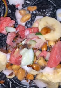 "na toppings e dey sweet eat am" – Nigerian lady cr!es out after discovering ants inside the fruit salad she ordered (VIDEO)