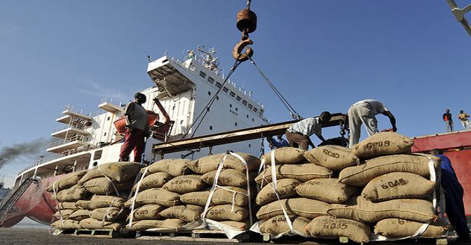 Cocoa Beans Export: Nigerian Farmers Request Extension of EU's EUDR Implementation Deadline