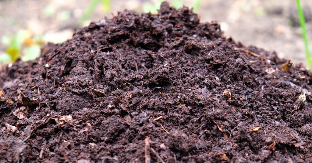 How to Make Good Compost Manure