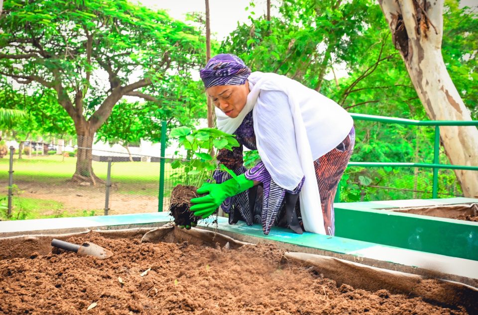 First Lady Plants Vegetables as RHI Launches ‘Every Home A Garden’ Competition – AgroNigeria