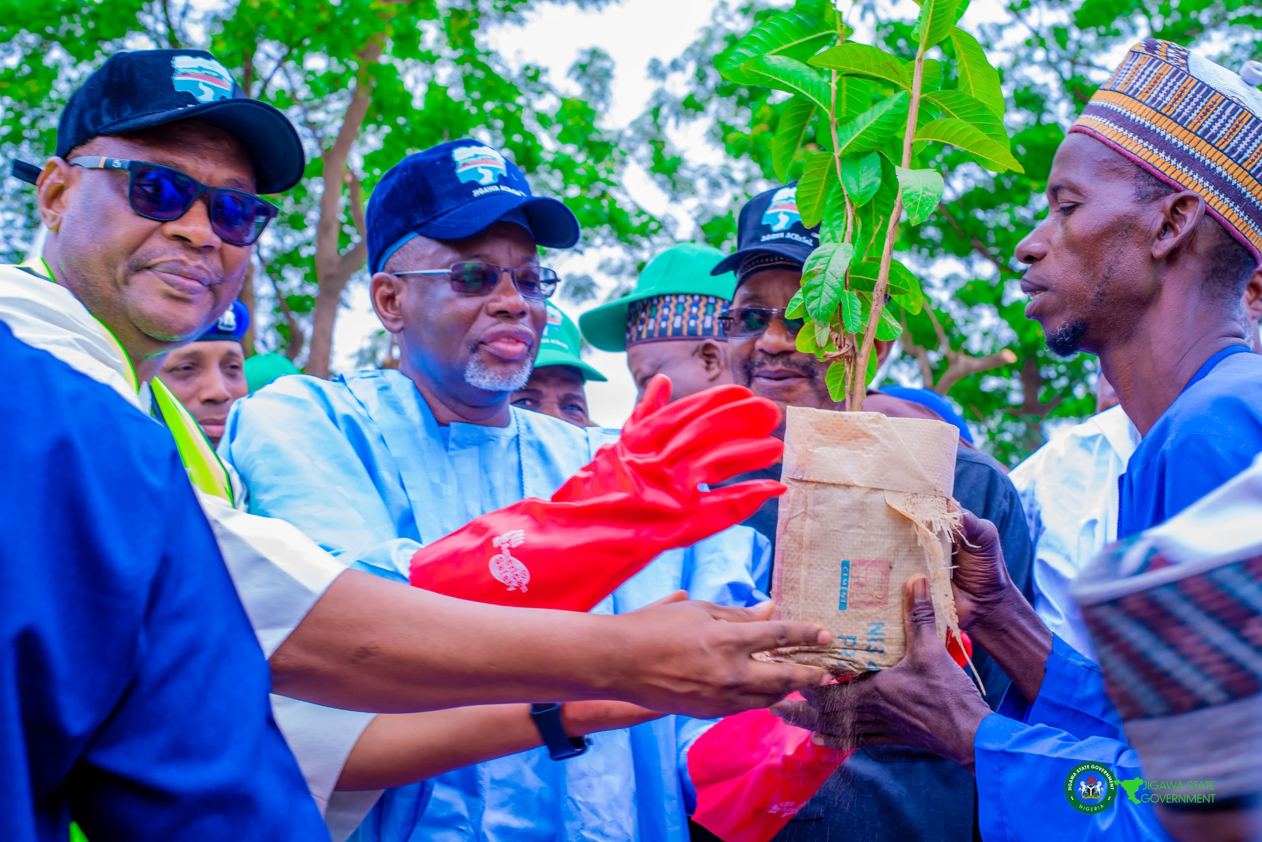 IDH, FMAN Launch Tree Planting Campaign in Jigawa