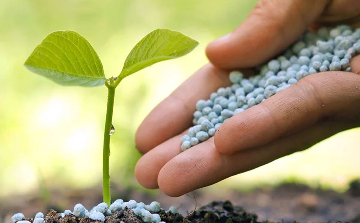 Kaduna Govt Distributes 15,000MT of Fertiliser to Farmers