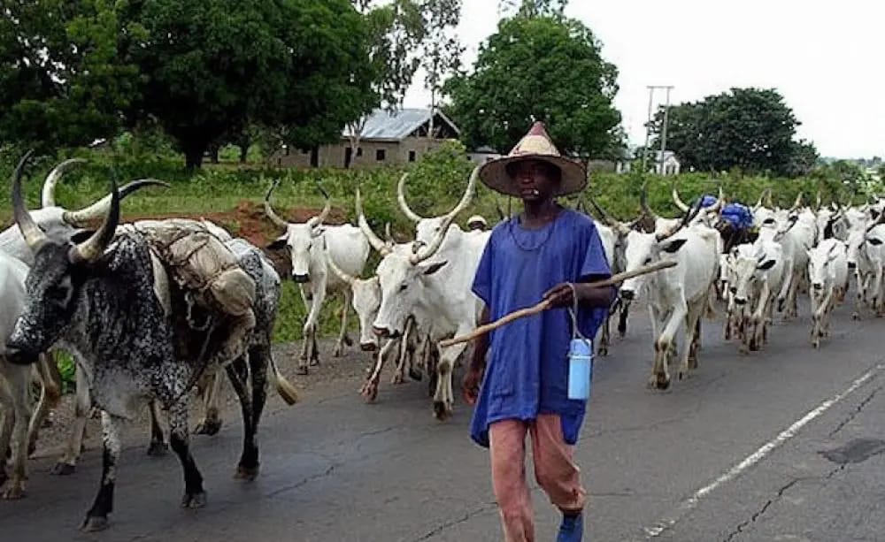 Ogun State Government Moves to Expel Armed Herdsmen