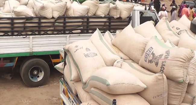 Gombe Farmers Raise Alarm Over Alleged Hoarding of Grains By Off-Takers