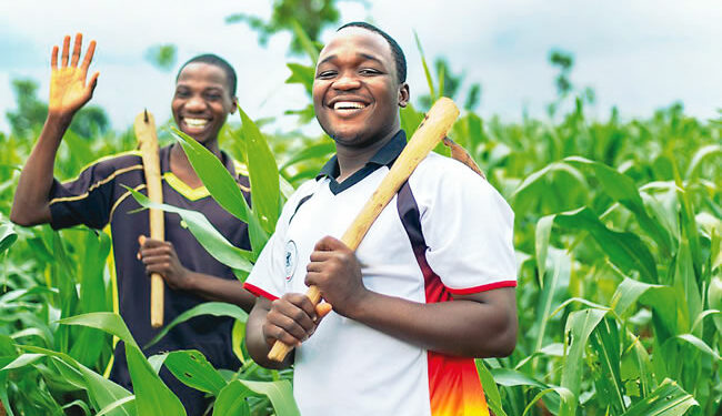 Lagos Govt Harps on Need to Replace Nigeria’s Aging Farming Population With Youth Trained in Modern Techniques 