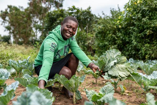 Lawmaker Advocates Priority For Agricultural Development at Local Government Level – AgroNigeria