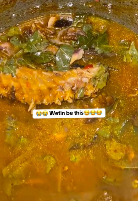 "I can see through the soup and even count the Oha leaves inside it" – Lady left speechless by partner's unappet!zing Oha soup (VIDEO)